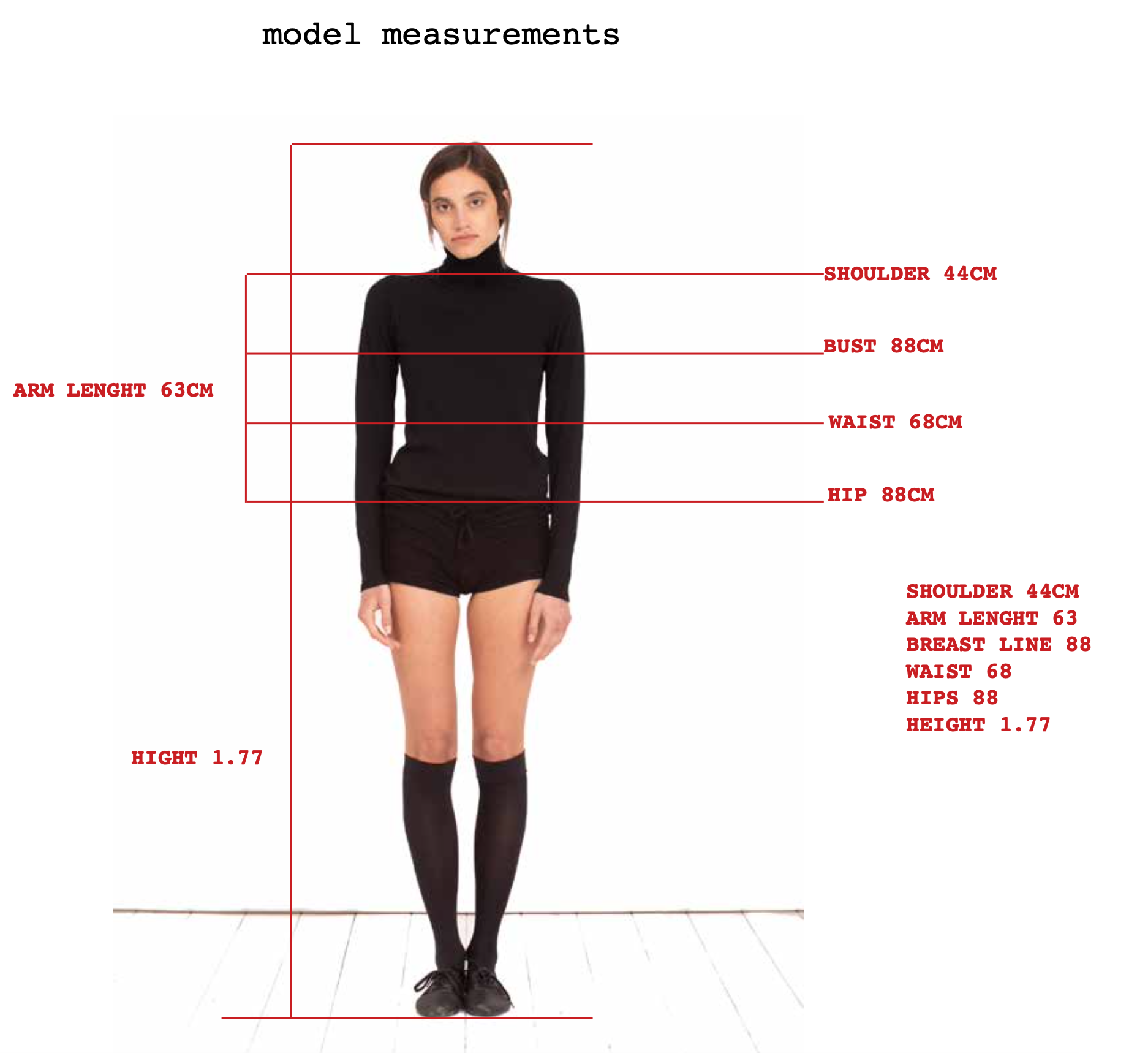 model measurements